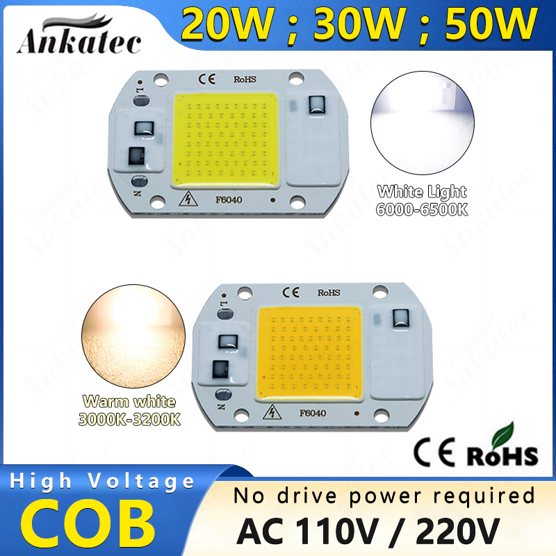 Outdoor Lighting Spotlight - 3000K 6000K LED COB Chip Light