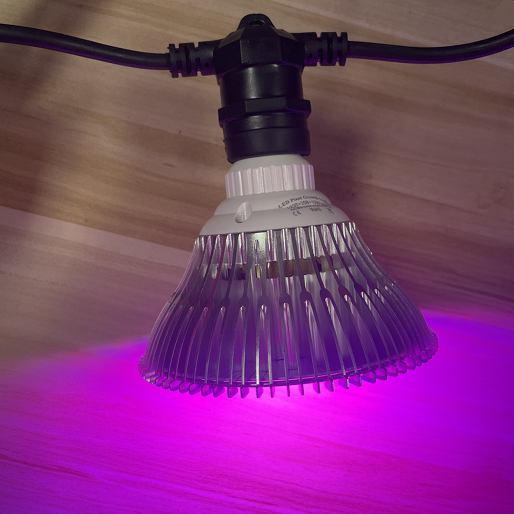 10M Cable LED String Commercia - đánh giá và giá Outdoor Lighting Sconce