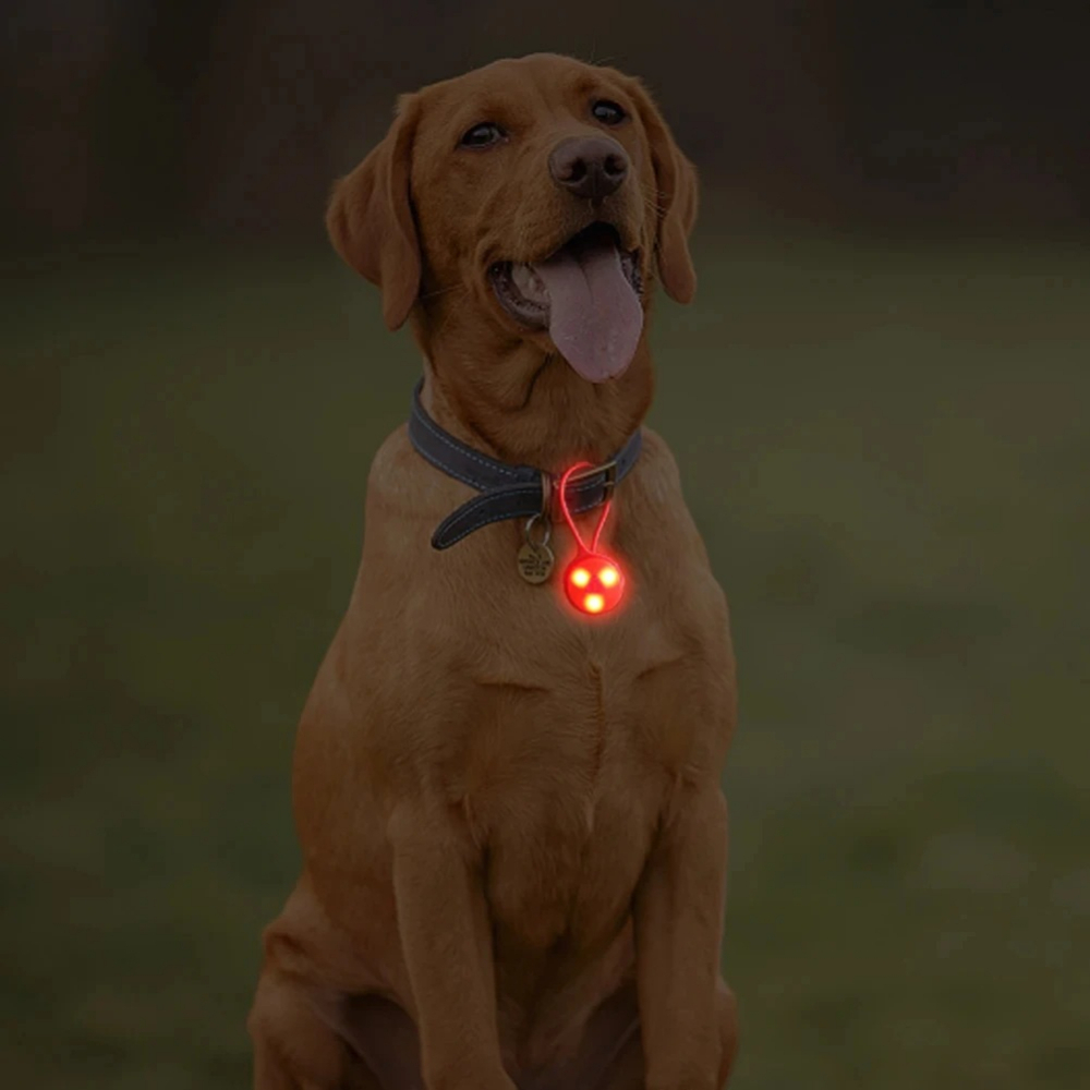 Outdoor Backpack Lights Silico - đánh giá và giá Outdoor Lighting Strip
