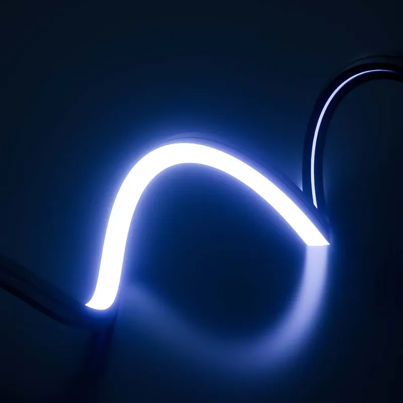 PERFECT Dream Color Led Neon S - đánh giá và giá Outdoor Lighting Strip